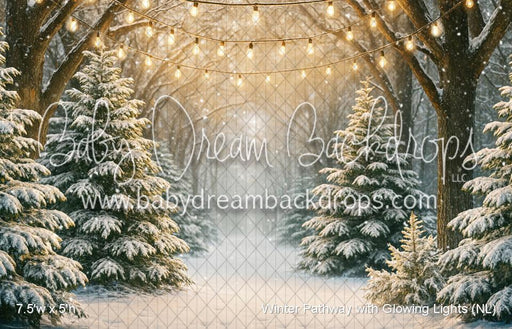 Winter Pathway with Glowing Lights (NL)