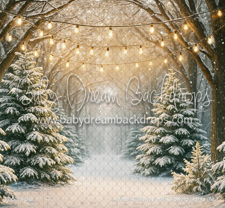 Winter Pathway with Glowing Lights (NL)
