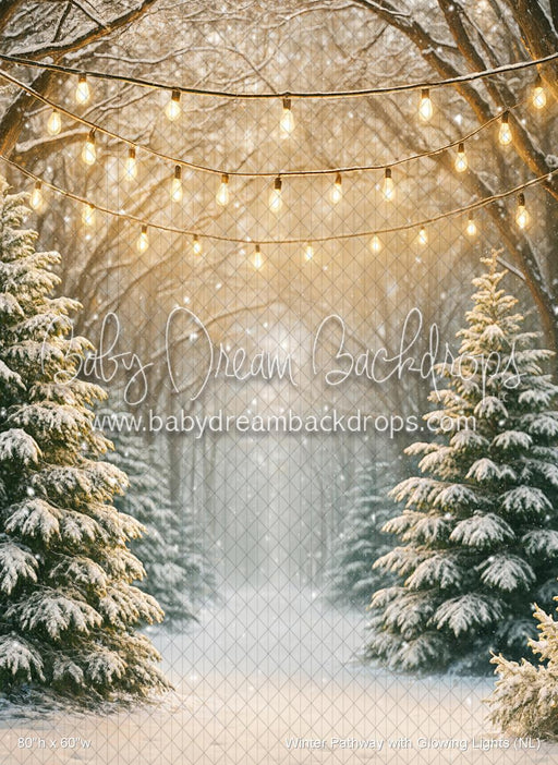 Winter Pathway with Glowing Lights (NL)