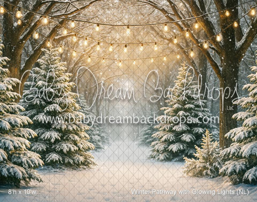 Winter Pathway with Glowing Lights (NL)
