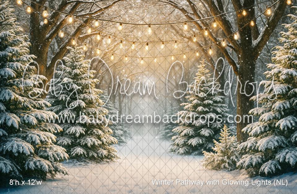 Winter Pathway with Glowing Lights (NL)