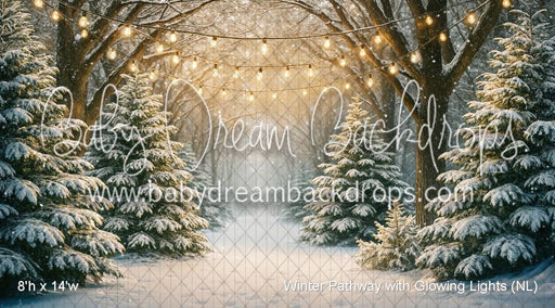 Winter Pathway with Glowing Lights (NL)