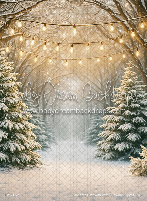 Winter Pathway with Glowing Lights (NL)