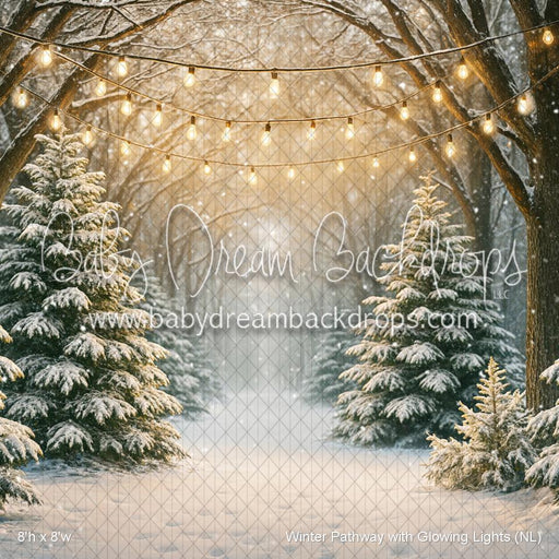 Winter Pathway with Glowing Lights (NL)