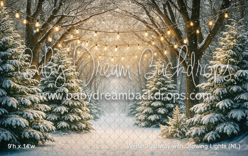 Winter Pathway with Glowing Lights (NL)