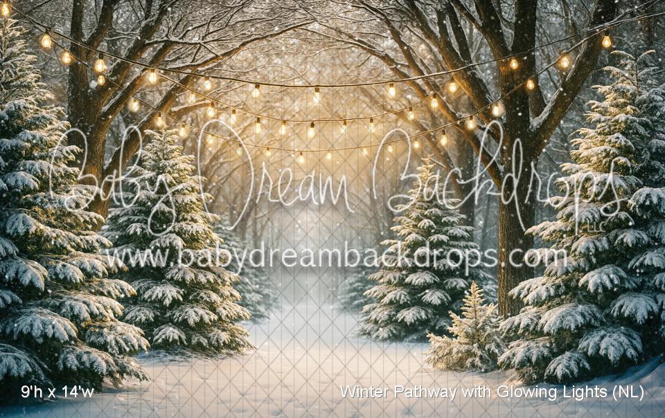 Winter Pathway with Glowing Lights (NL)