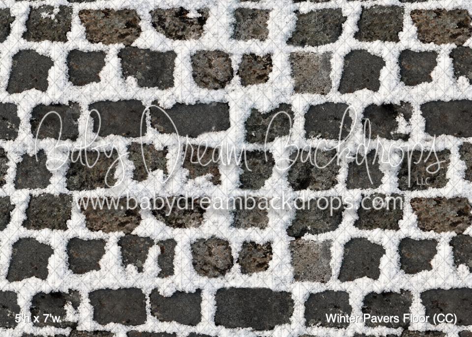 Winter Pavers Floor (CC)