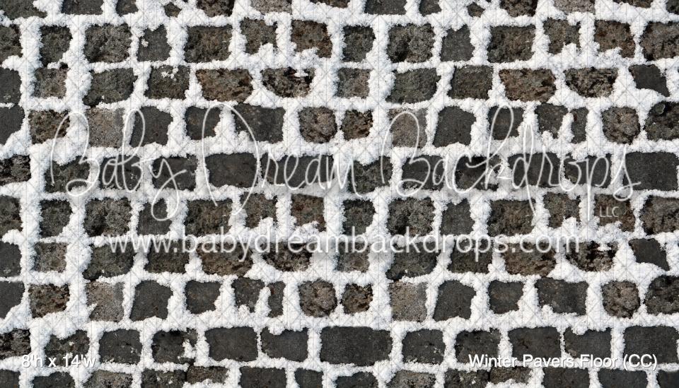 Winter Pavers Floor (CC)