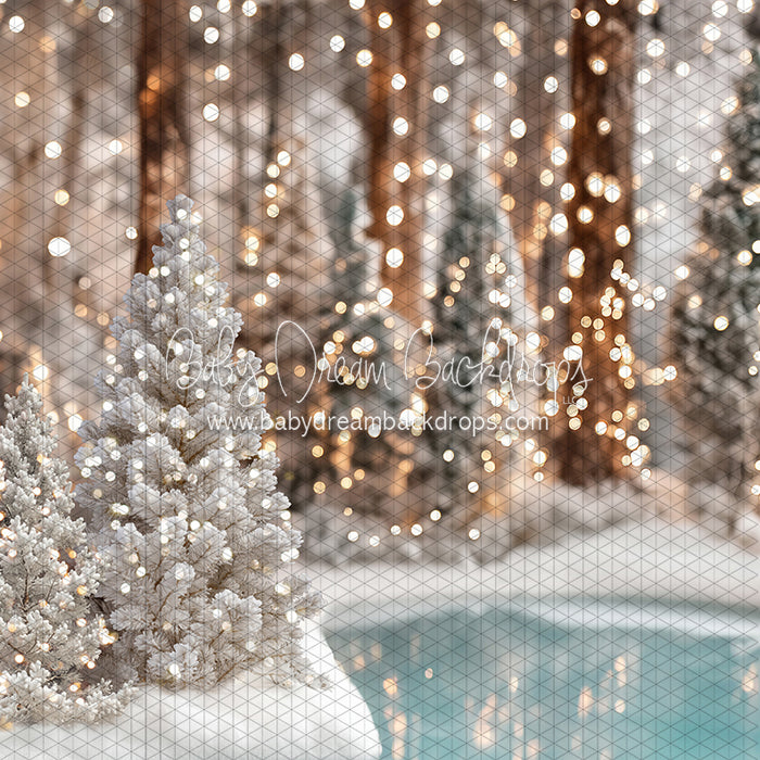 Winter Skate Pond (JA)