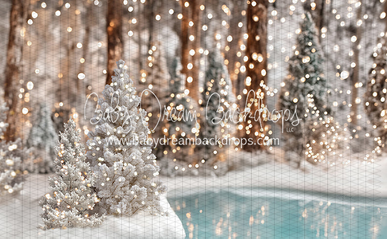 Winter Skate Pond (JA)