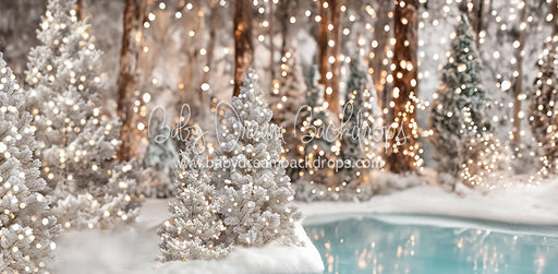 Winter Skate Pond (JA)