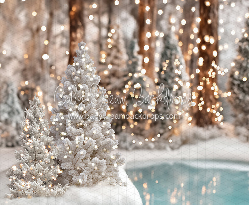 Winter Skate Pond (JA)