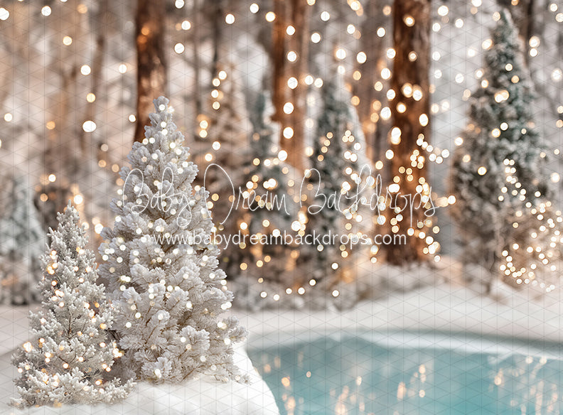 Winter Skate Pond (JA)