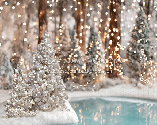 Winter Skate Pond (JA)