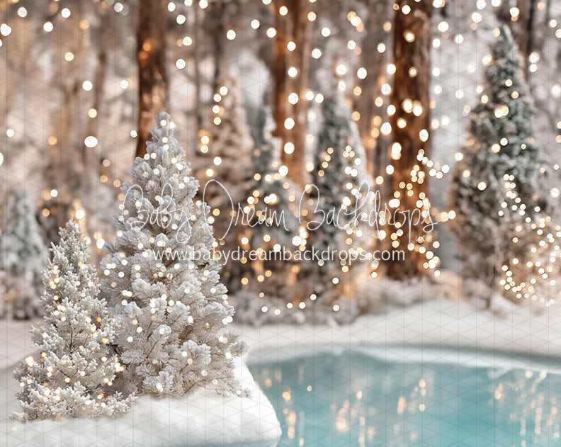 Winter Skate Pond (JA)