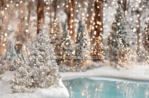 Winter Skate Pond (JA)