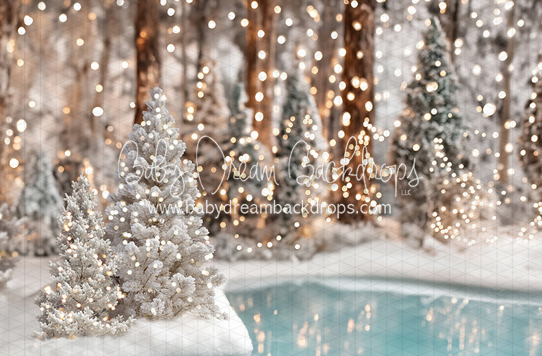 Winter Skate Pond (JA)