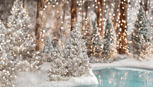 Winter Skate Pond (JA)