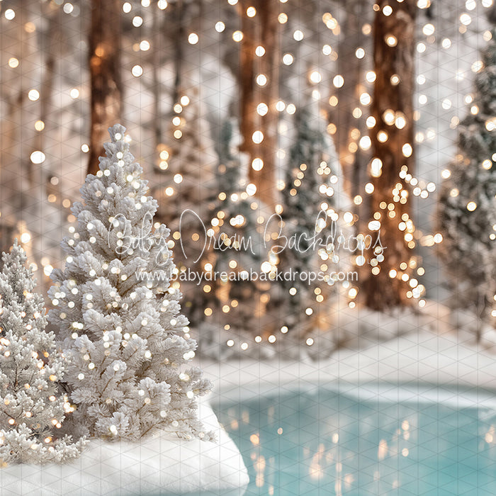 Winter Skate Pond (JA)