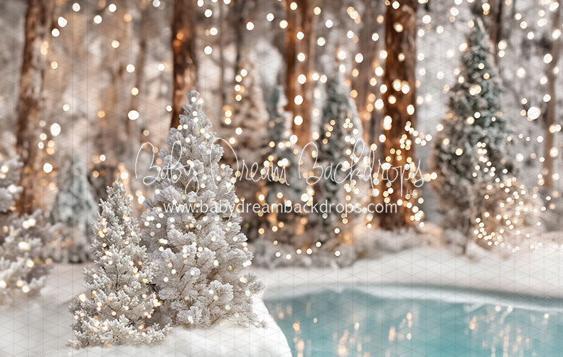 Winter Skate Pond (JA)