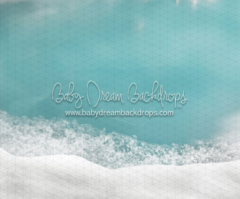 Winter Skate Pond Bottom (JA)