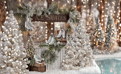 Winter Skate Stand (JA)