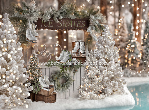 Winter Skate Stand (JA)