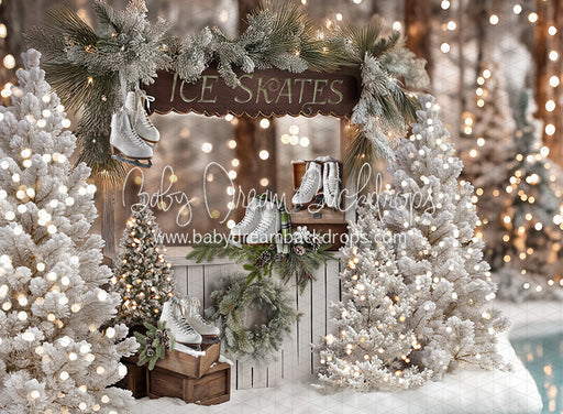 Winter Skate Stand (JA)