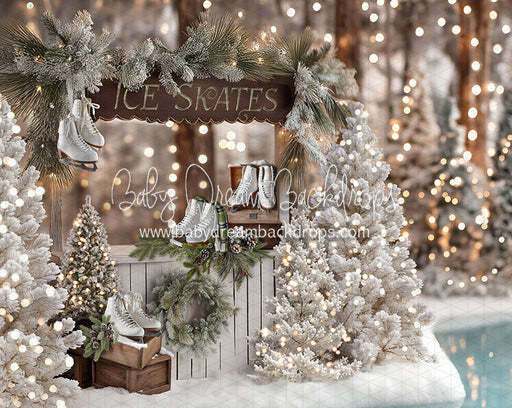 Winter Skate Stand (JA)