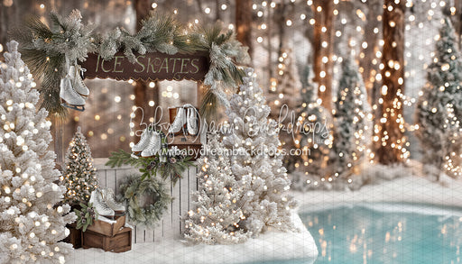 Winter Skate Stand (JA)