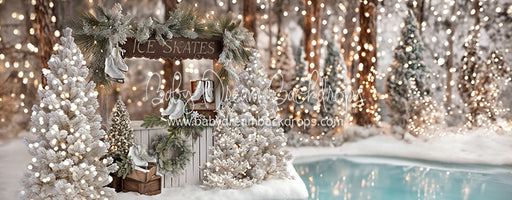 Winter Skate Stand (JA)