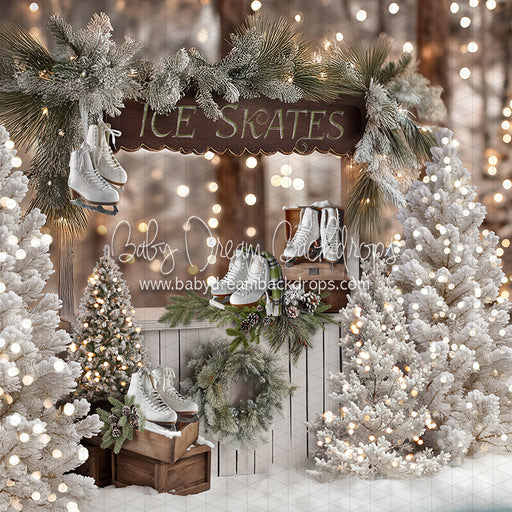 Winter Skate Stand (JA)