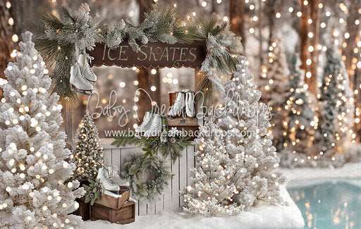 Winter Skate Stand (JA)