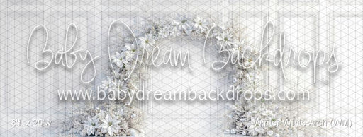 Winter White Arch (WM)