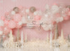 Winter Wonderland Pink Balloons with One Sign (JE)