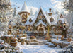 Winter's Enchanted Wonderland (OM)