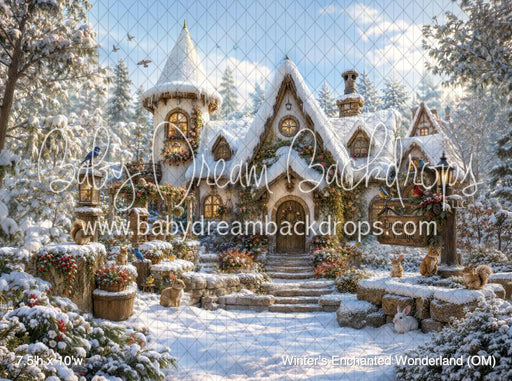Winter's Enchanted Wonderland (OM)