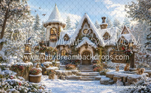 Winter's Enchanted Wonderland (OM)