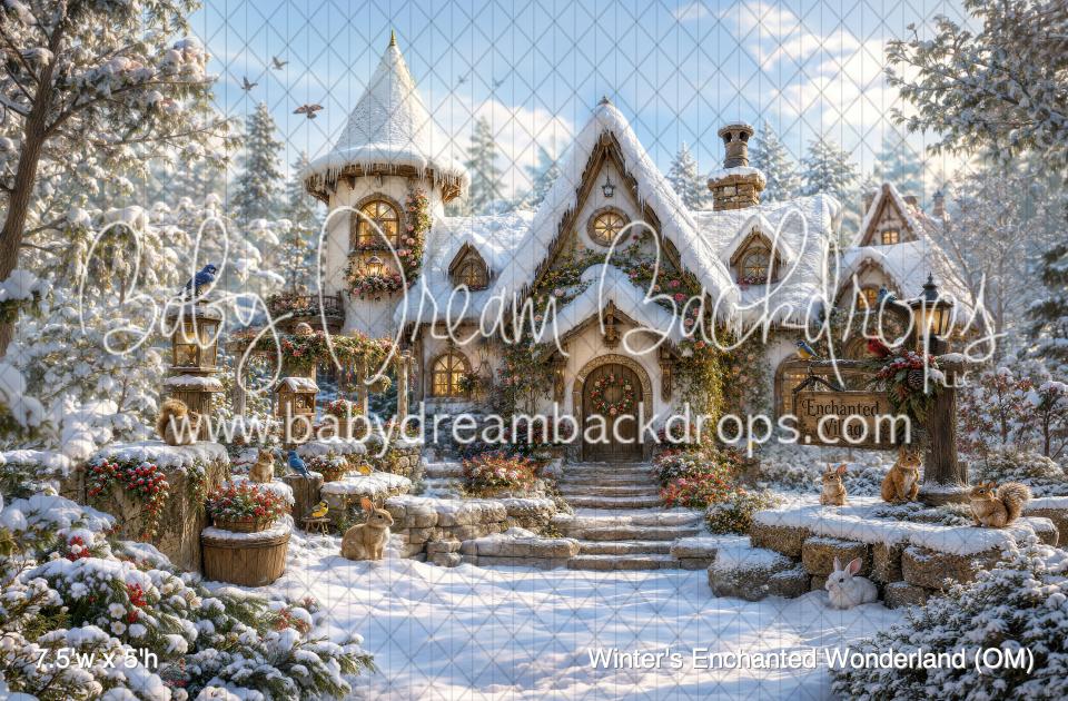 Winter's Enchanted Wonderland (OM)