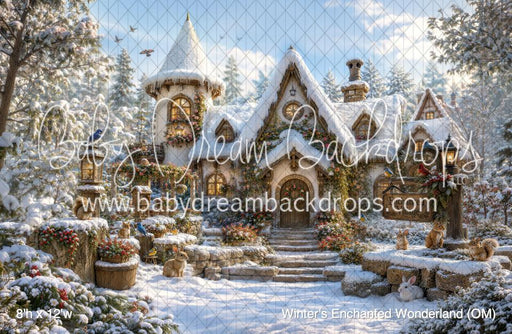 Winter's Enchanted Wonderland (OM)