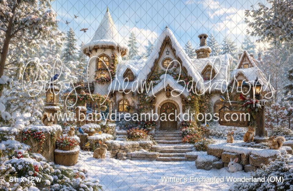 Winter's Enchanted Wonderland (OM)