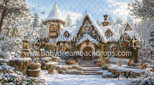 Winter's Enchanted Wonderland (OM)