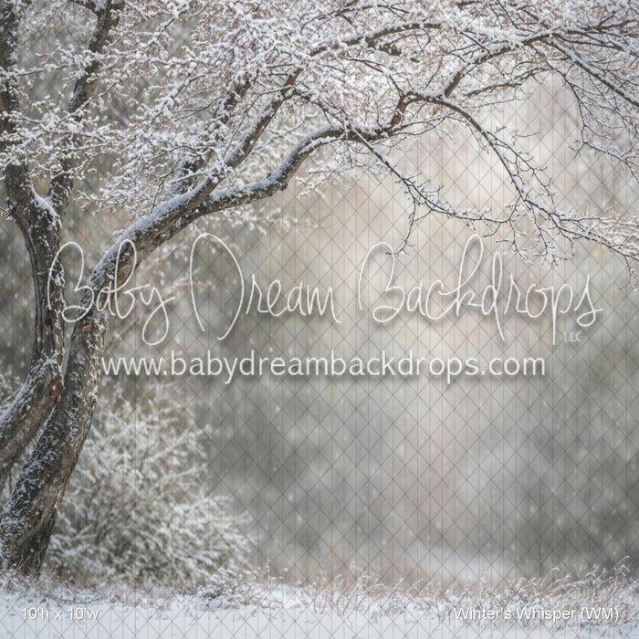Winter's Whisper (WM)