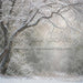 Winter's Whisper (WM)