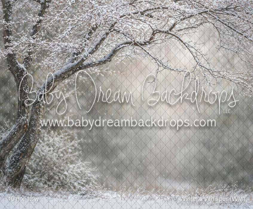 Winter's Whisper (WM)