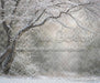Winter's Whisper (WM)
