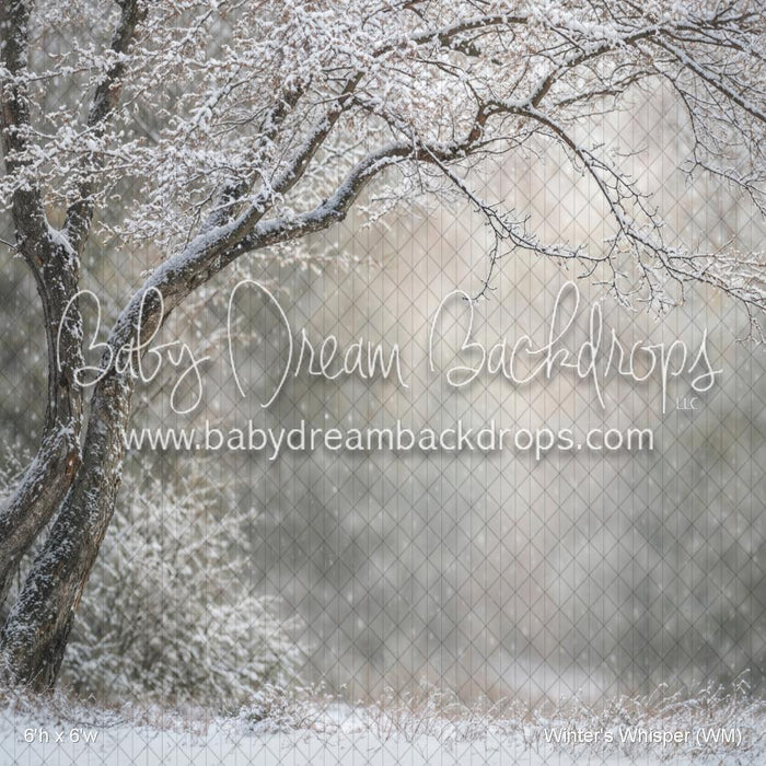 Winter's Whisper (WM)