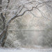 Winter's Whisper (WM)