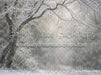 Winter's Whisper (WM)