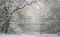 Winter's Whisper (WM)